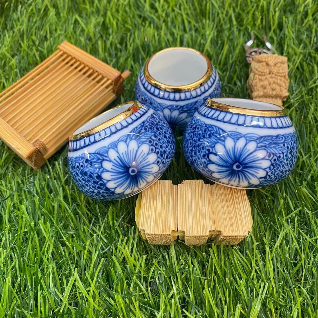 CÓNG VẼ TAY dáng niêu kèm xiên rọ kín lưng dành cho chim chào mào form thi đấu