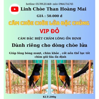 Linh chòe than hoàng mai