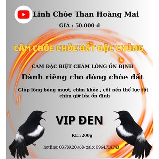 Linh chòe than hoàng mai