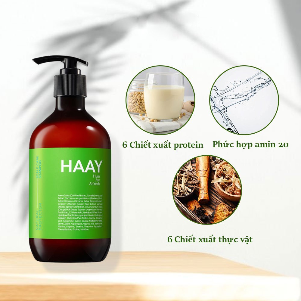 Dầu gội đầu ngăn rụng tóc ngừa gàu Hàn Quốc Haay Hum Aw AhYeah 500ml, chiết xuất tự nhiên dưỡng da đầu phục hồi hư tổn.