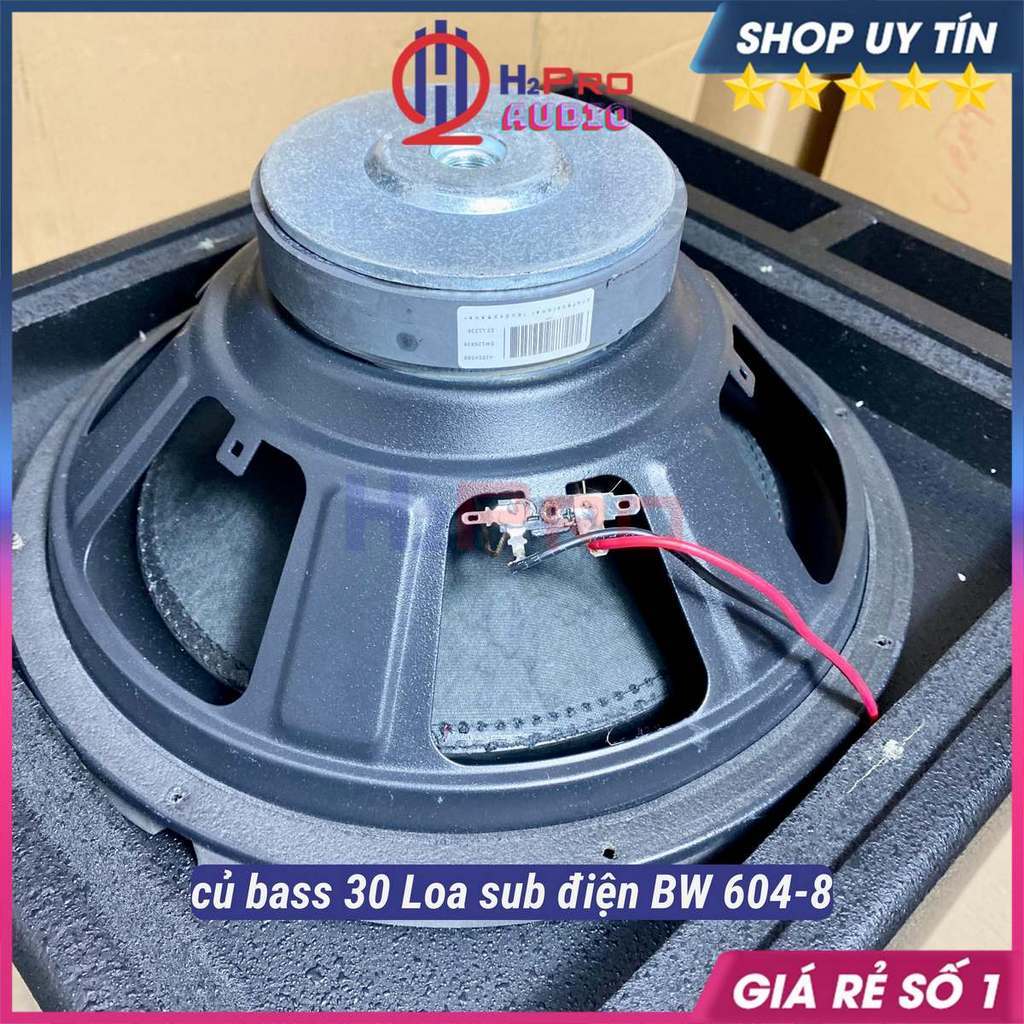 Loa Trầm Bass 30 BW 604-8 300W, Sub Điện Bass 30 Sub Mặt Cao Cấp Đánh Căng Cho Gia Đình, Bộ Quà 90k-H2Pro Audio