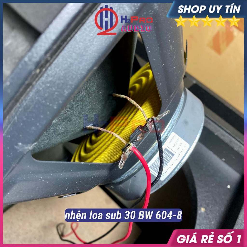 Loa Trầm Bass 30 BW 604-8 300W, Sub Điện Bass 30 Sub Mặt Cao Cấp Đánh Căng Cho Gia Đình, Bộ Quà 90k-H2Pro Audio