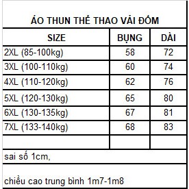 Áo thun nam thể thao bigsize - thun đốm