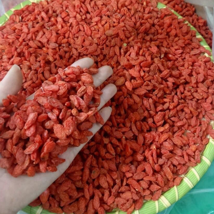 Kỷ Tử Đỏ  500gr Sấy Khô Quả To Đỏ Đều Giúp Đẹp Da, Bổ Máu, Dễ Ngủ, Sáng Mắt