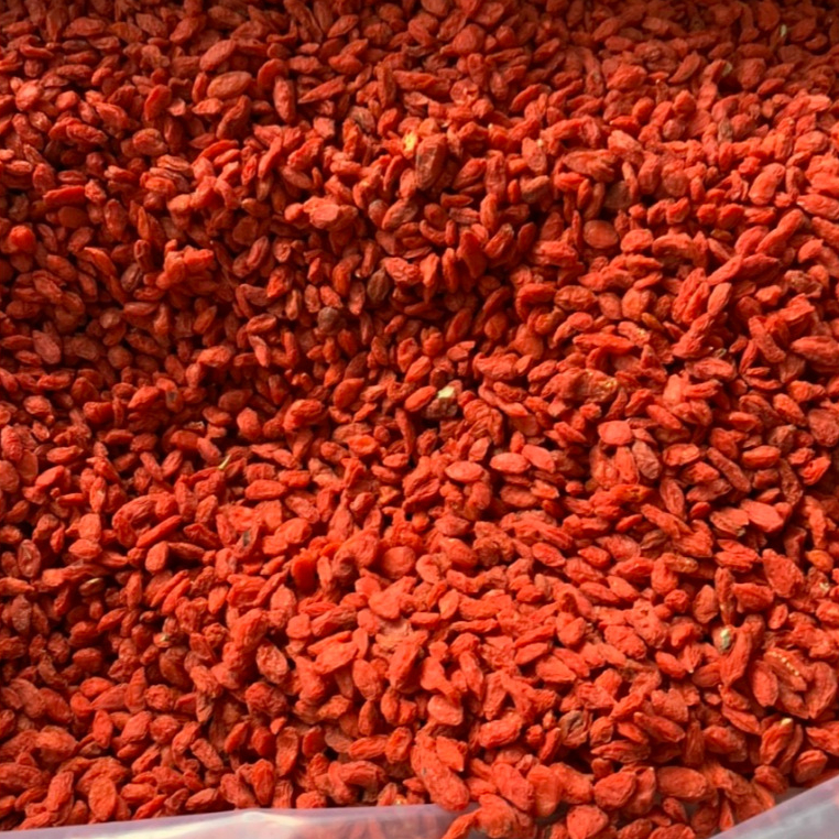 Kỷ Tử Đỏ  500gr Sấy Khô Quả To Đỏ Đều Giúp Đẹp Da, Bổ Máu, Dễ Ngủ, Sáng Mắt