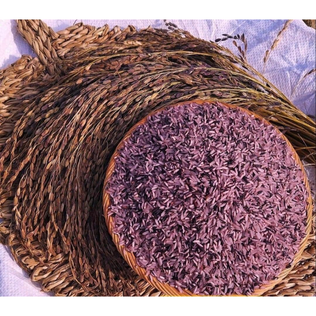 1kg Gạo nương tím H’mông - AnAn đặc sản Tây Bắc