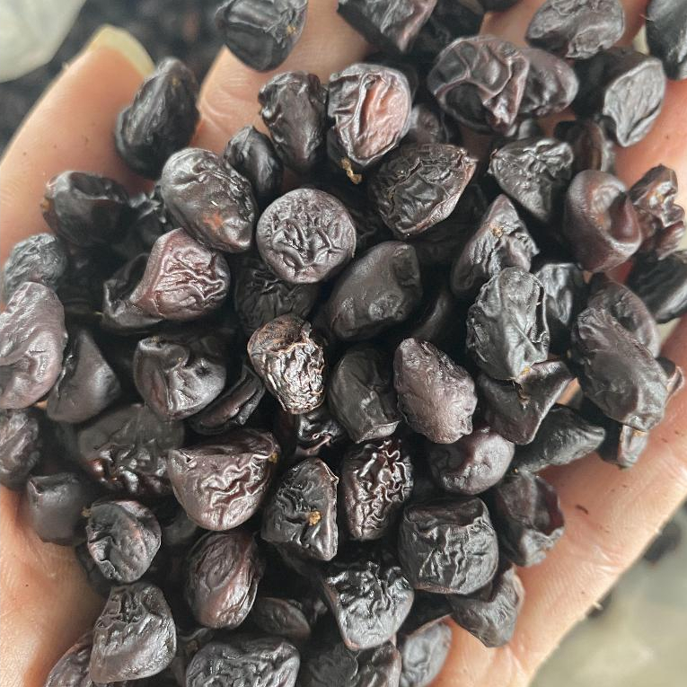 Gói 15 hạt Dổi - AnAn đặc sản Tây Bắc