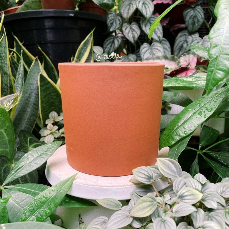 Bộ 3 chậu đất nung dáng trụ - Trồng bình vôi, sen đá, xương rồng | Erecta Garden