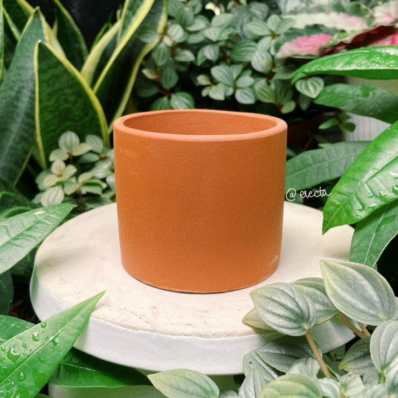 Bộ 3 chậu đất nung dáng trụ - Trồng bình vôi, sen đá, xương rồng | Erecta Garden