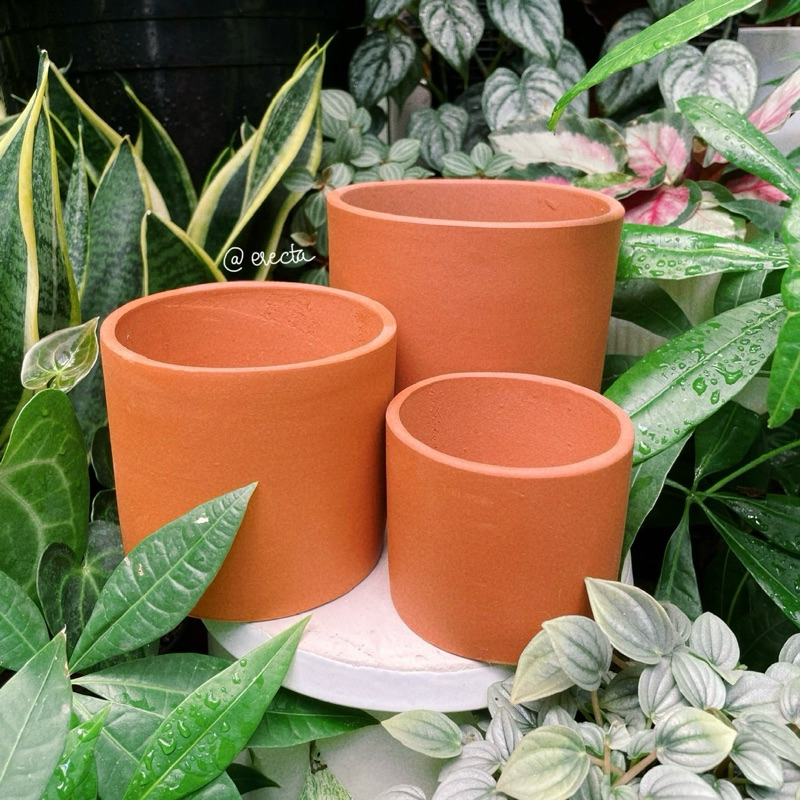 Bộ 3 chậu đất nung dáng trụ - Trồng bình vôi, sen đá, xương rồng | Erecta Garden