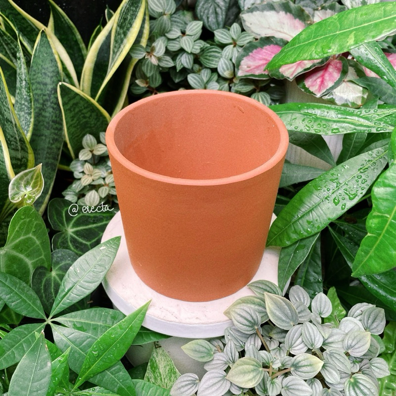 Bộ 3 chậu đất nung dáng trụ - Trồng bình vôi, sen đá, xương rồng | Erecta Garden