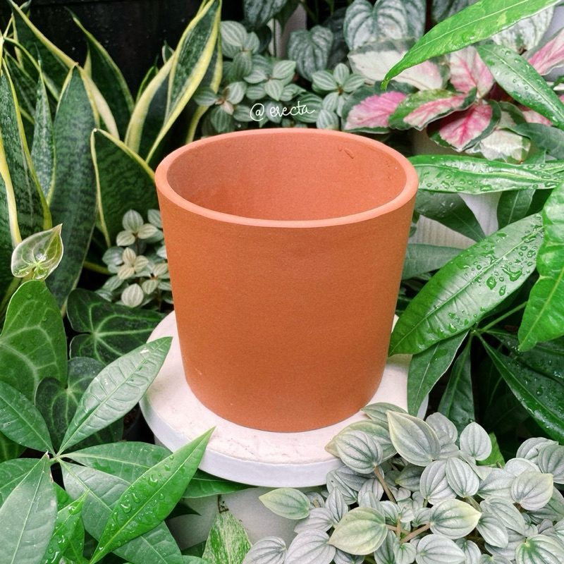 Bộ 3 chậu đất nung dáng trụ - Trồng bình vôi, sen đá, xương rồng | Erecta Garden