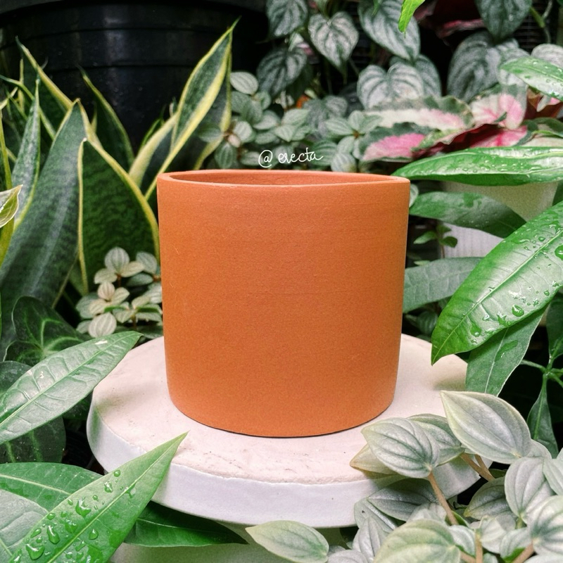 Bộ 3 chậu đất nung dáng trụ - Trồng bình vôi, sen đá, xương rồng | Erecta Garden