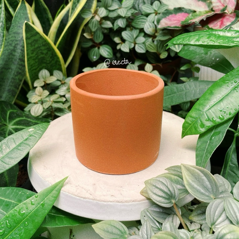 Bộ 3 chậu đất nung dáng trụ - Trồng bình vôi, sen đá, xương rồng | Erecta Garden