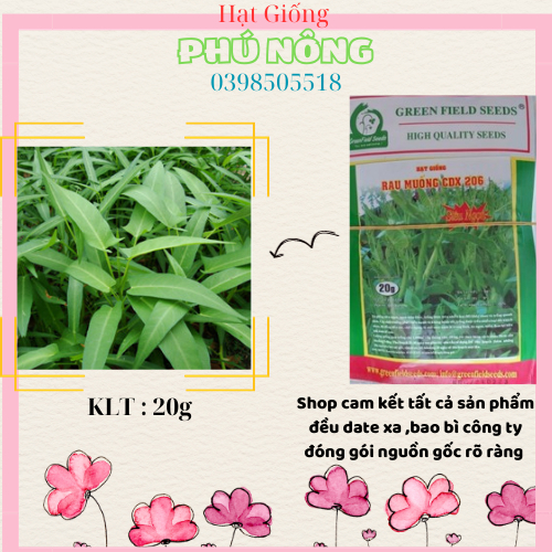 Hạt Giống Rau Muống Cao Sản Cánh Đồng Xanh - Gói 20g