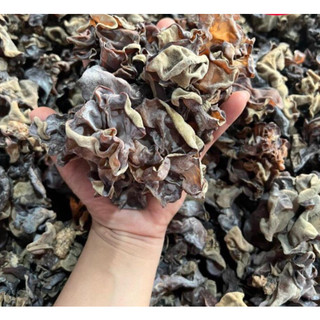 Mộc nhĩ rừng - Sùng Bầu