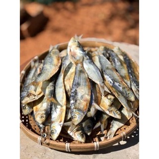 Cá trích khô- nguyên con thịt dày ít xương ngon rẻ đặc sản Phú Yên 