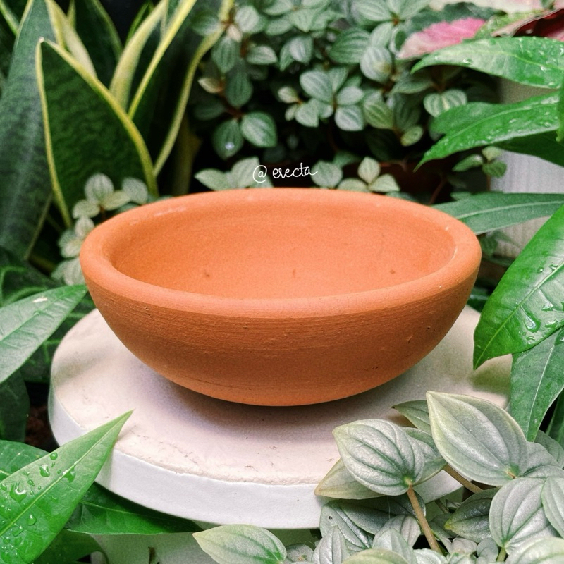 Chậu đất nung dáng chảo 13cm - Chậu trồng bình vôi, sen đá, xương rồng | Erecta Garden