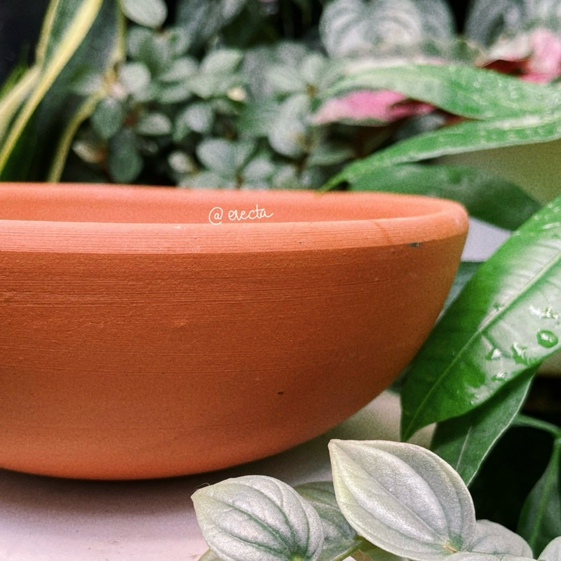 Chậu đất nung dáng chảo 13cm - Chậu trồng bình vôi, sen đá, xương rồng | Erecta Garden