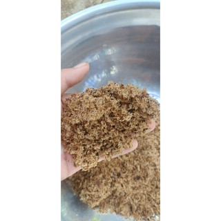 5gram hạt giống cây Hông, tếch lai