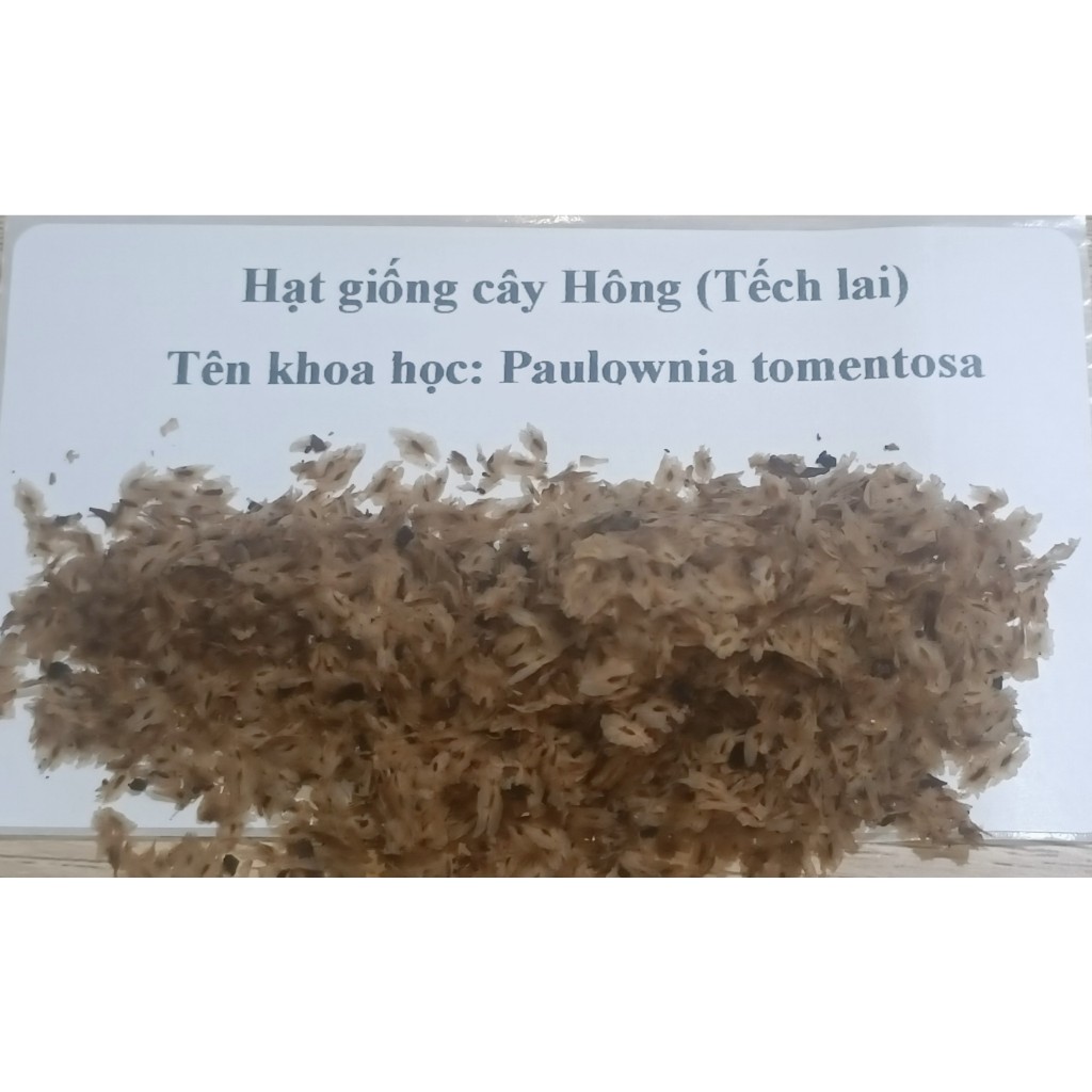5gram hạt giống cây Hông, tếch lai