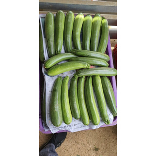 500g bí ngòi xanh đà lạt tươi ngon