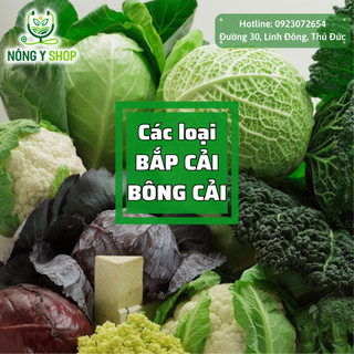 Hạt giống các loại Bông Cải, bắp cải Rạng Đôn, bông cải Xanh Baby , bông cải trắng, bắp cải, cải thảo
