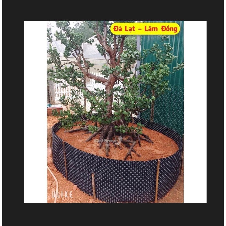 50 MÉT Bầu ươm cây V6 CAO 60CM dày 6mm, cắt theo mét dài khách đặt, tặng ốc vít-77903