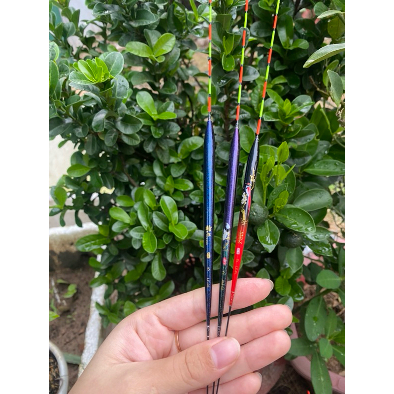 3 phao chuyên cá phi