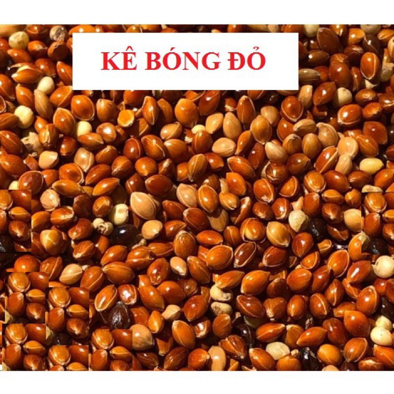 1kg kê bóng đỏ lớn