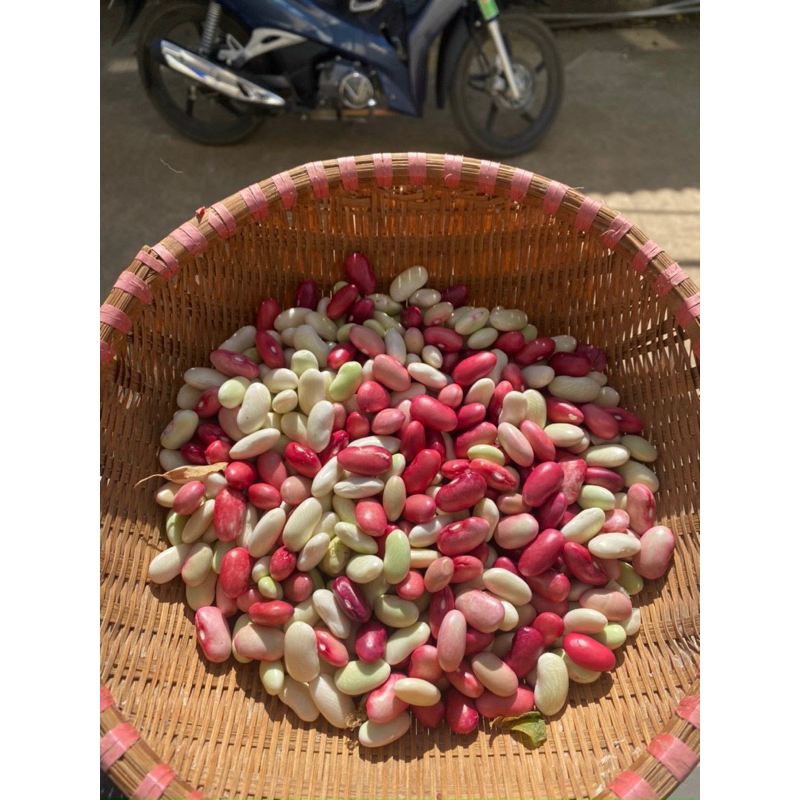 Đậu tươi ĐÀ LẠT mix 5 loại