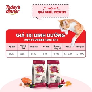 Thức ăn hạt Today’s Dinner cho mèo 🐈