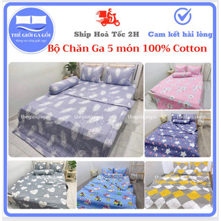 Trọn Bộ Drap (5 món )100% Cotton kèm mền chần gòn