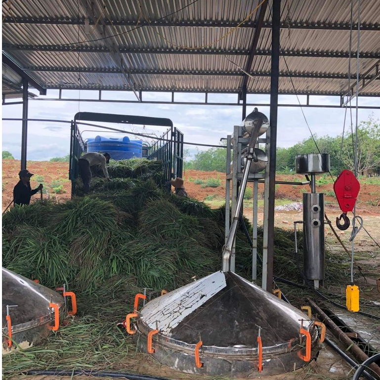 Tinh dầu Sả Java KingOil nguyên chất từ thiên nhiên, thơm phòng, xông phòng, thư giãn, đuổi muỗi, giải cảm, khử khuẩn
