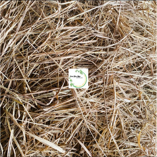[Phụ kiện trang trí] 100g Rơm khô trang trí Noen, tết…