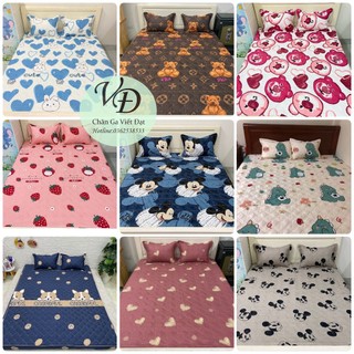 Bộ Ga Chun + 2 Vỏ Gối Trần Bông- Kích Thước: 1m6x2m - 1m8x2m