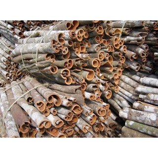 Vỏ quế khô 1 kg thơm ngon, mới sạch