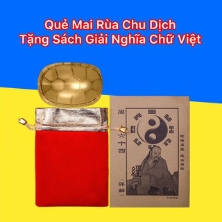 Quẻ Mai Rùa Chu Dịch bằng đồng cỡ đại 10cm