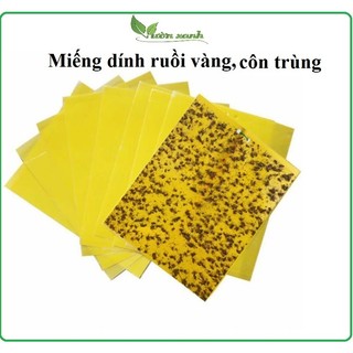 Set 20 Miếng bẫy dính ruồi vàng, sâu bọ, trĩ, phấn trắng hại cây KT 15x25cm
