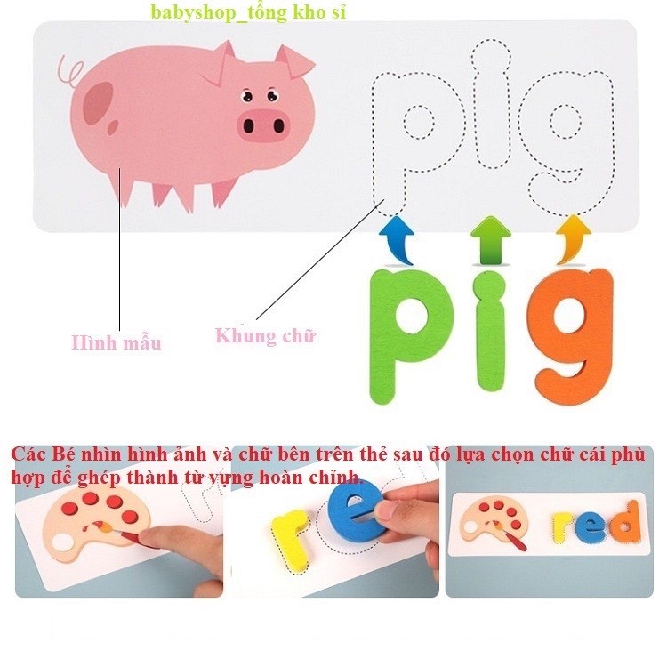 Bút Đọc Thẻ Thông Minh, Bút Đọc Thông Minh Kèm 12 Thẻ Học Tiếng Anh Dành Cho Bé, Giáo Dục Sớm Cho Bé Làm Quen Tiếng Anh
