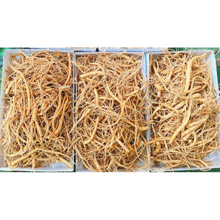 Rễ sâm tươi hàn quốc