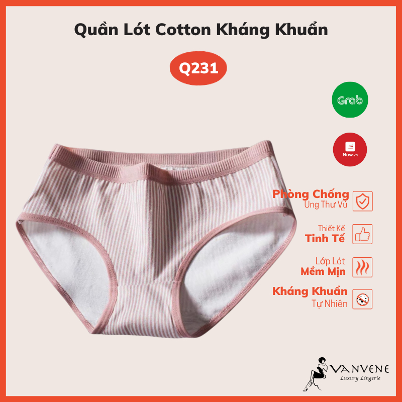 QUẦN LÓT COTTON KHÁNG KHUẨN VANVENE KẺ SỌC CẠP REN MỚI LÓT COTTON CHÓNG VIÊM NHIỄM CHỐNG HẰN Q231