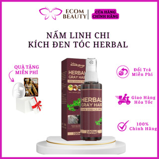  Nấm Linh Chi Kích Đen Tóc Herbal Gray Hair - Tinh Chất Serum Herbal Phủ Bạc Xịt Làm Đen Tóc An Toàn Tóc Đen Dày 