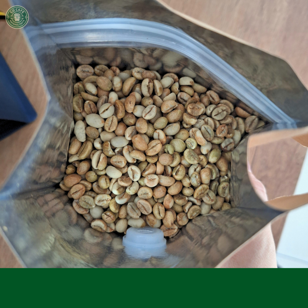 Cà Phê Nhân Xanh Robusta Honey S14 S16 S18 Cafe Sạch, Chất Lượng Cao, Hữu Cơ Green Bean Coffee - GUCAFE