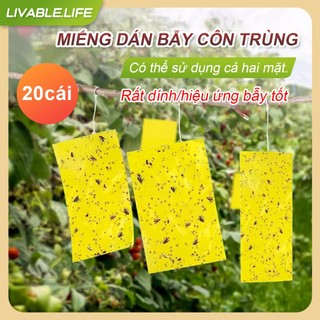 🔥20 cái 🔥Bẫy ruồi vàng hai mặt Miếng Dán Bẫy Côn Trùng Hiệu quả,hai mặt siêu thu hút siêu dính,15x20cm, 20x25cm,25x30cm