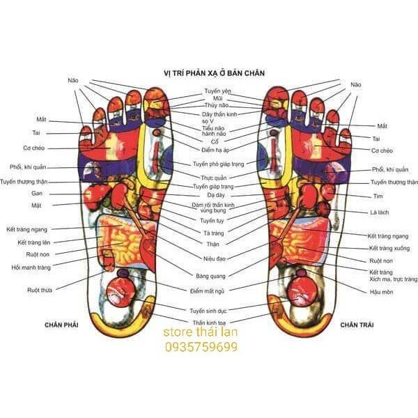 Dầu Cù Là bàn chân Massage  thái lan 50gr