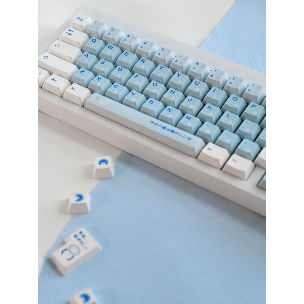 Bộ nút bàn phím cơ | Keycap Cherry WUKDS Male High School