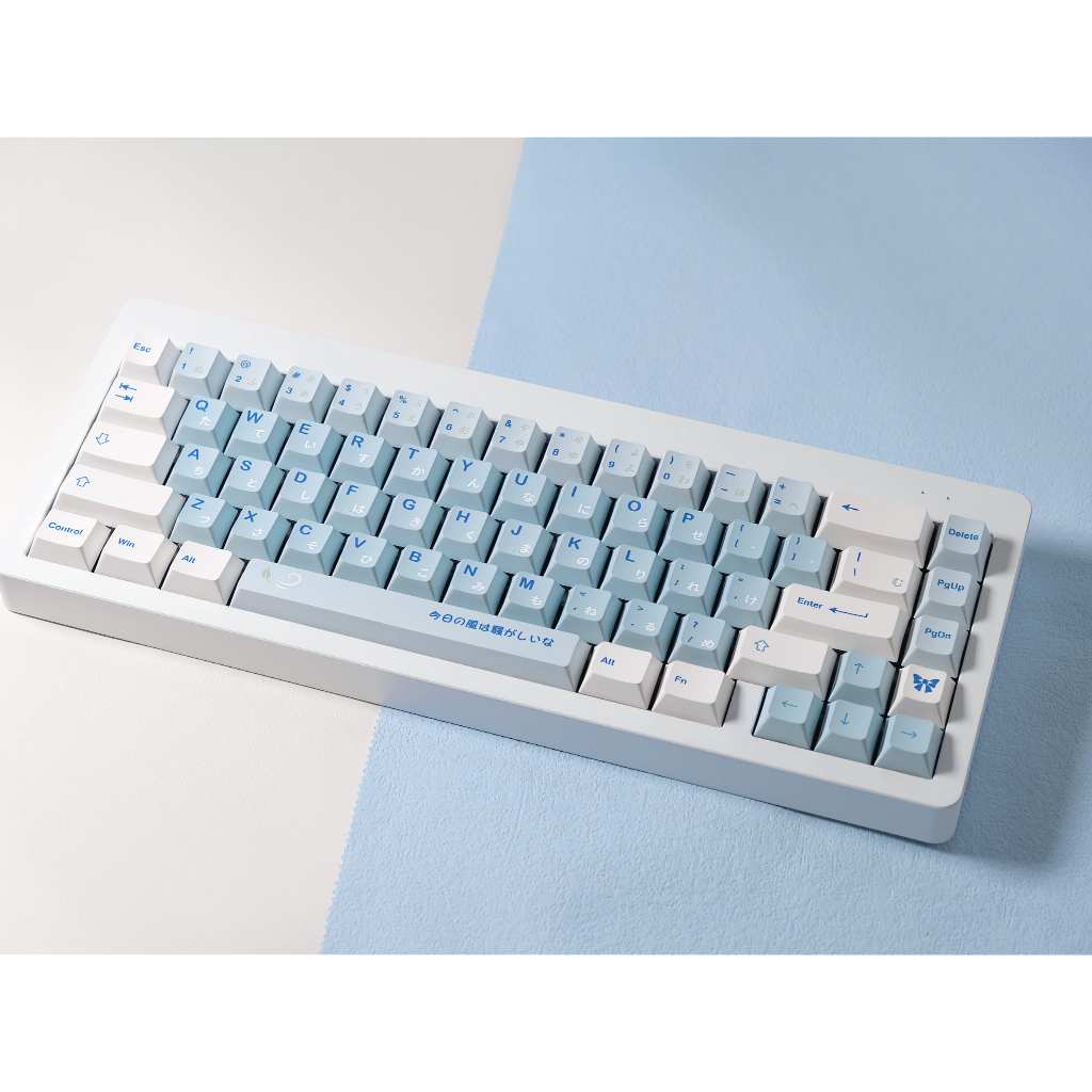 Bộ nút bàn phím cơ | Keycap Cherry WUKDS Male High School