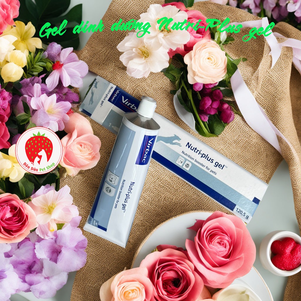 Nutri-plus gel  CHO CHÓ MÈO