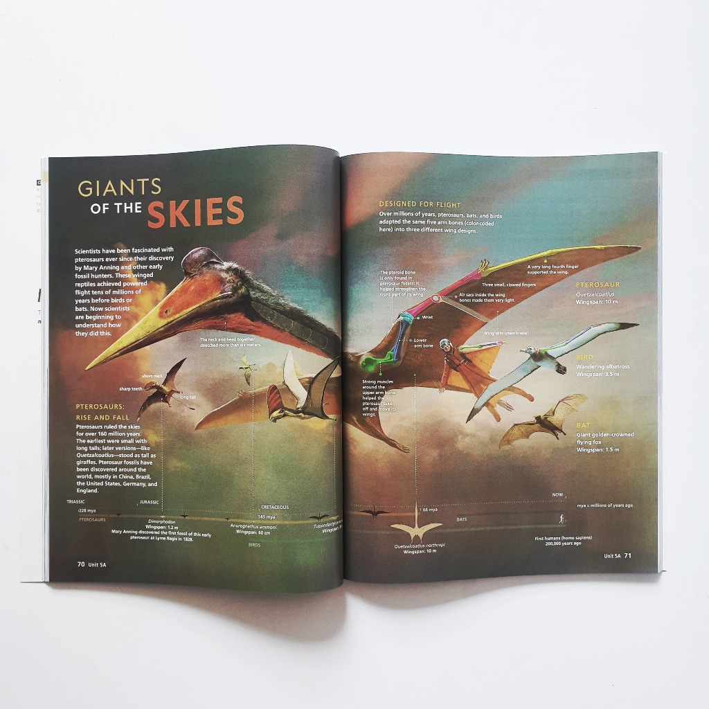 Reading Explorer  - 6q  | Nhập Khẩu